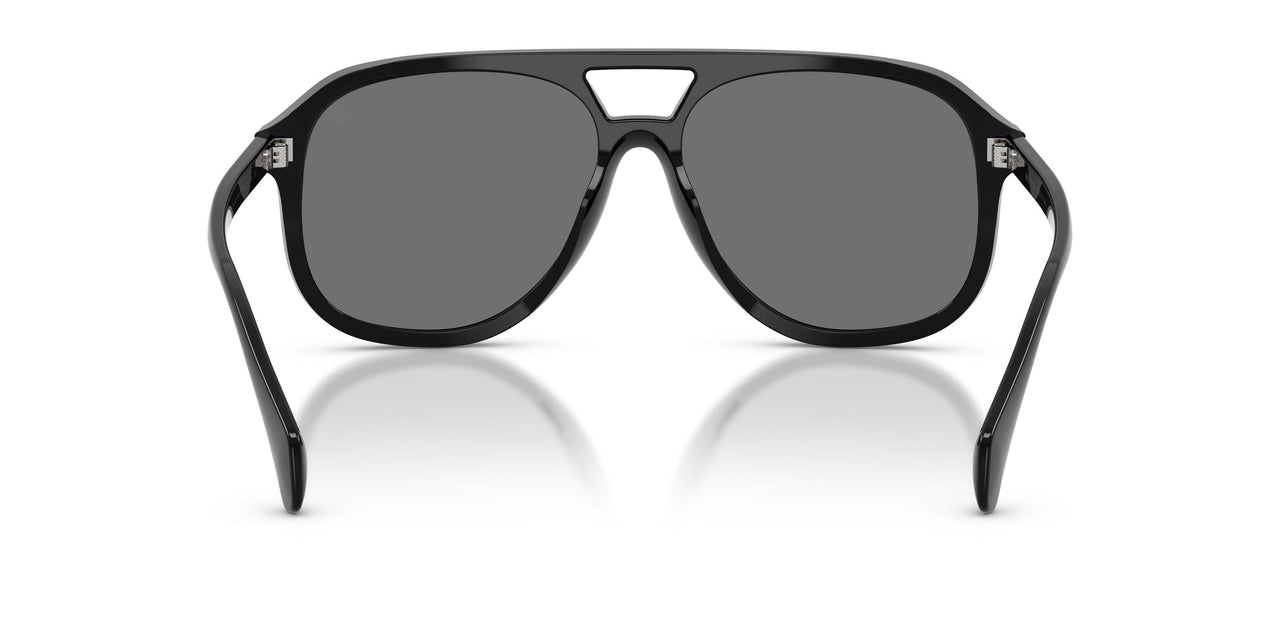 300181 - Black - Polarized Dark Grey