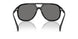 300181 - Black - Polarized Dark Grey