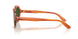 348371 - Light Brown - Dark Green