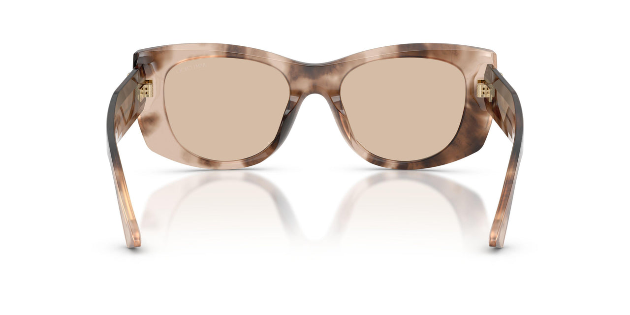 509793 - Tortoise - Light Brown