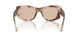 509793 - Tortoise - Light Brown