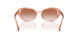 634113 - Pink - Gradient Brown