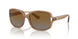 5561T5 - Brown - Brown Grey Gradient Polar