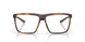 802904 - Tortoise