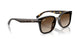 710/13 - Tortoise - Gradient Brown