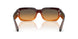 348618 - Brown - Orange Gradient Light Green