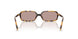 14L20I - Tortoise - Light Purple Brown
