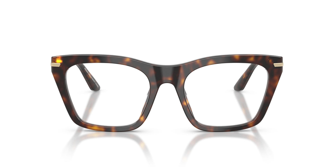 5026 - Tortoise
