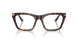 5026 - Tortoise