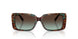 84425D - Tortoise - Azure Gradient Brown