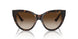 W65613 - Havana - Brown Gradient