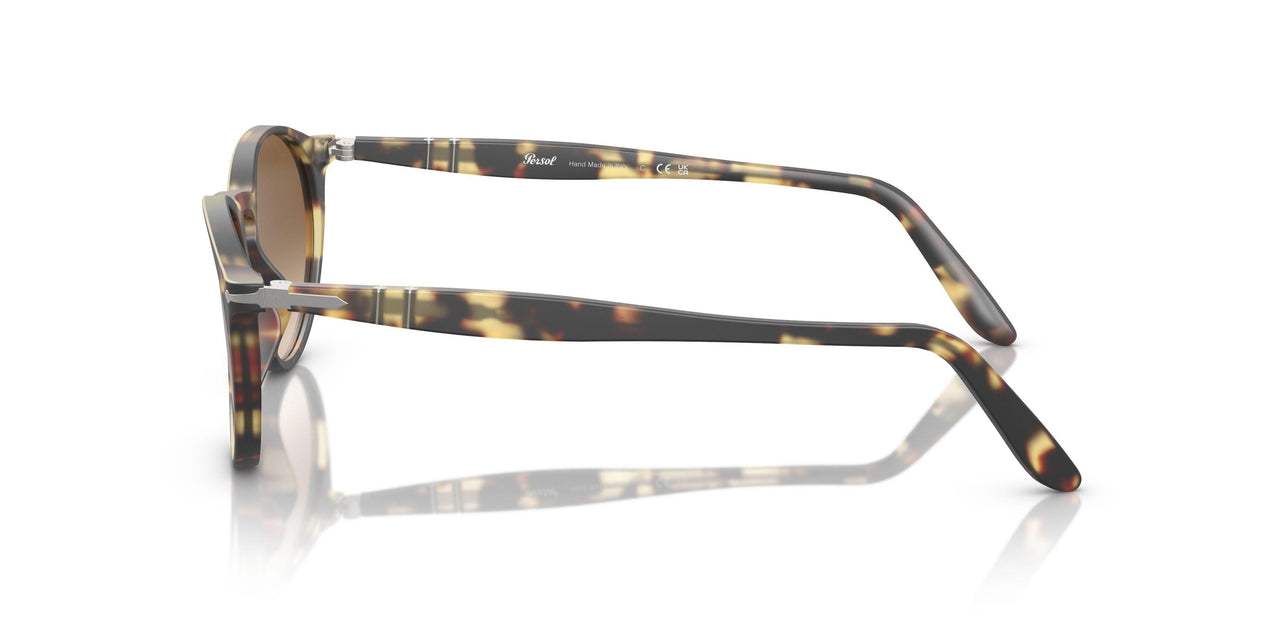 900551 - Tortoise - Brown Gradient
