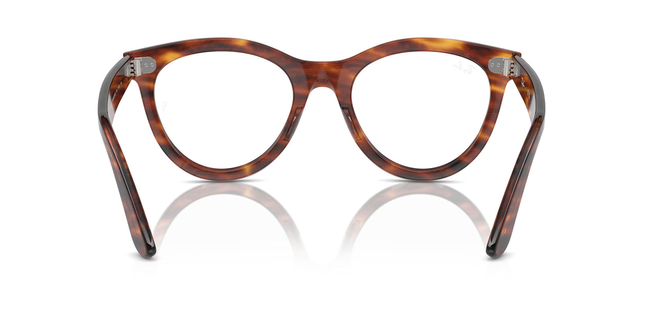 2144 - Brown - Clear