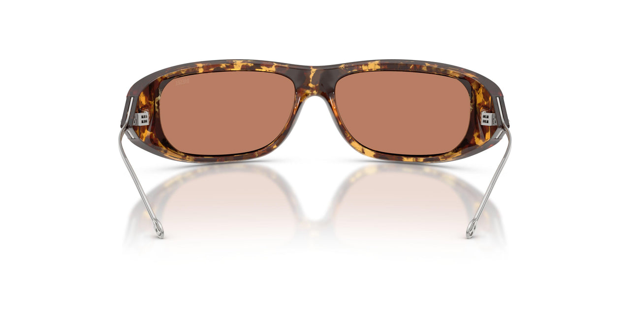 201373 - Tortoise - Light Brown