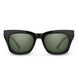20928580751WV - Black - Polarized Gray Green