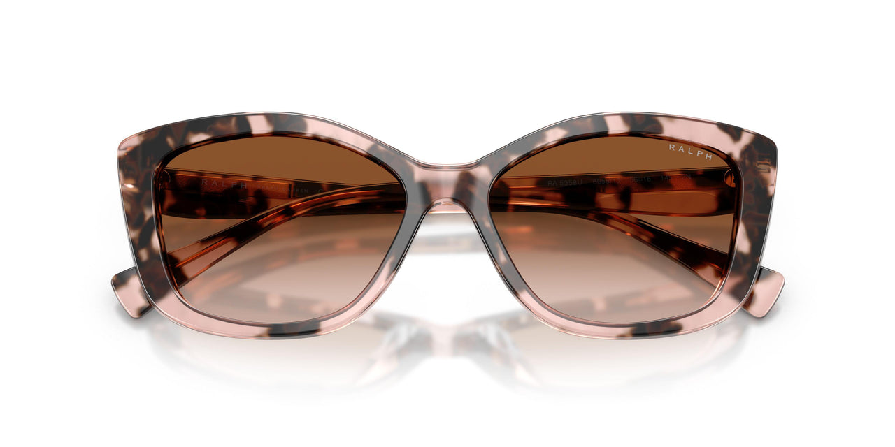 605813 - Tortoise - Gradient Brown