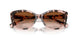 605813 - Tortoise - Gradient Brown