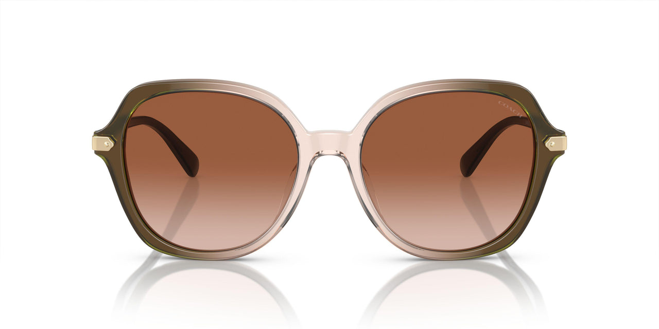 540013 - Olive Beige Gradient - Brown Gradient