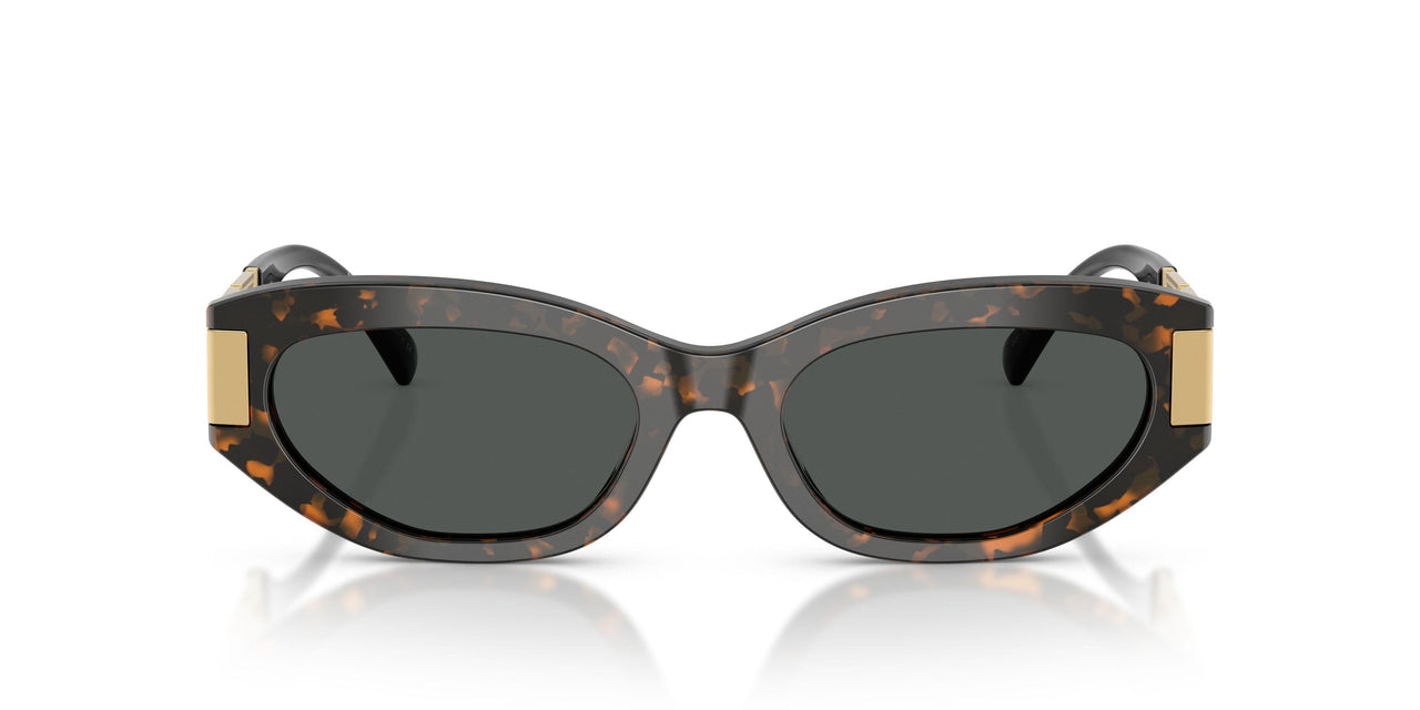 552887 - Tortoise - Dark Grey