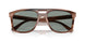 1423O9 - Tortoise - Polarized Light Blue