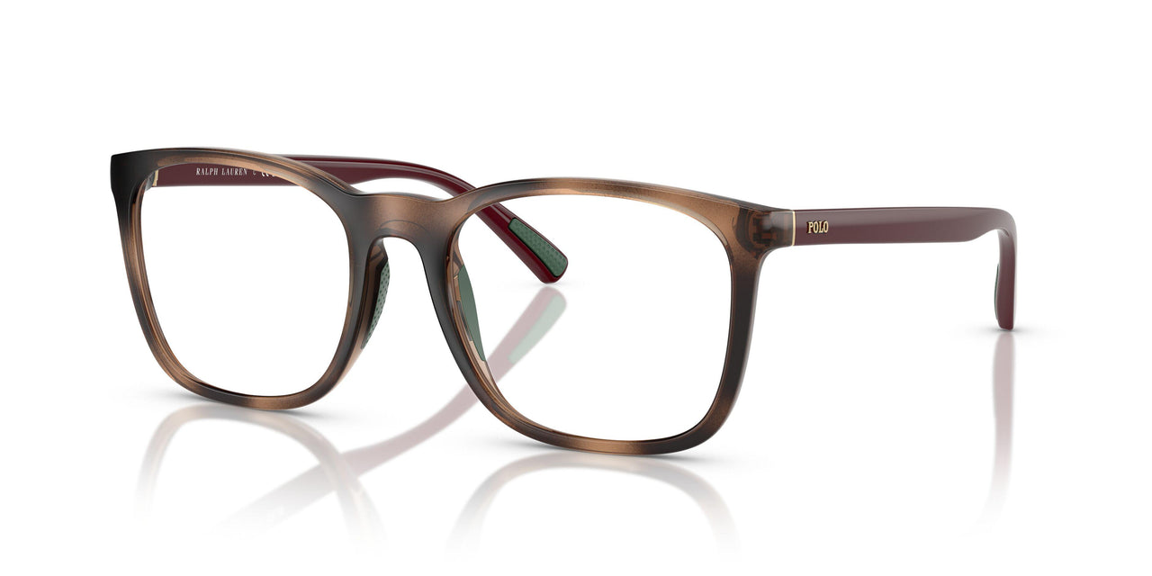 6208 - Tortoise
