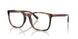 6208 - Tortoise