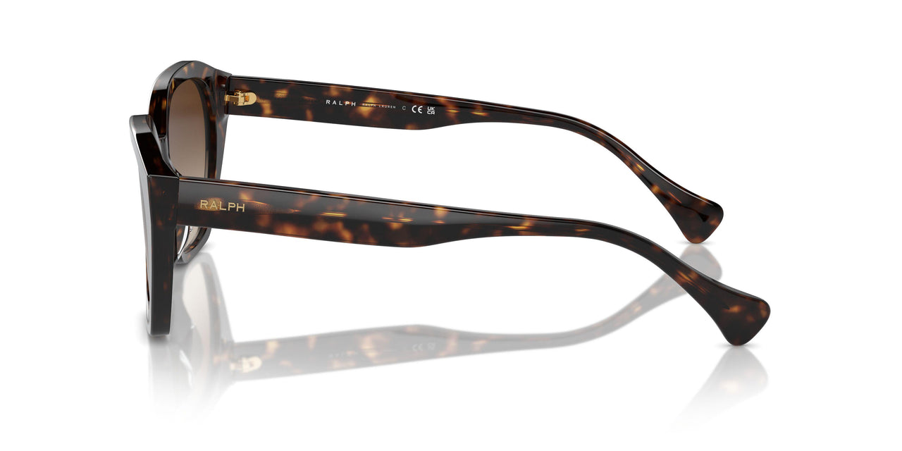 500313 - Brown - Gradient Brown