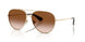 Burberry 3172 Sunglasses