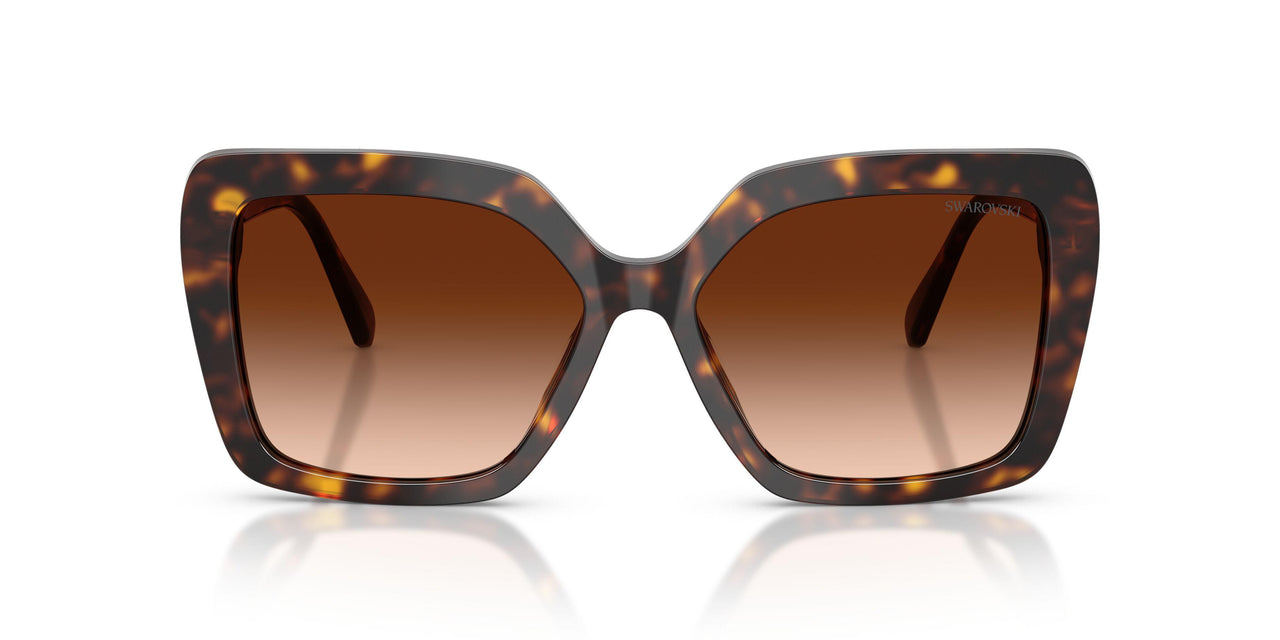 100274 - Tortoise - Gradient Brown
