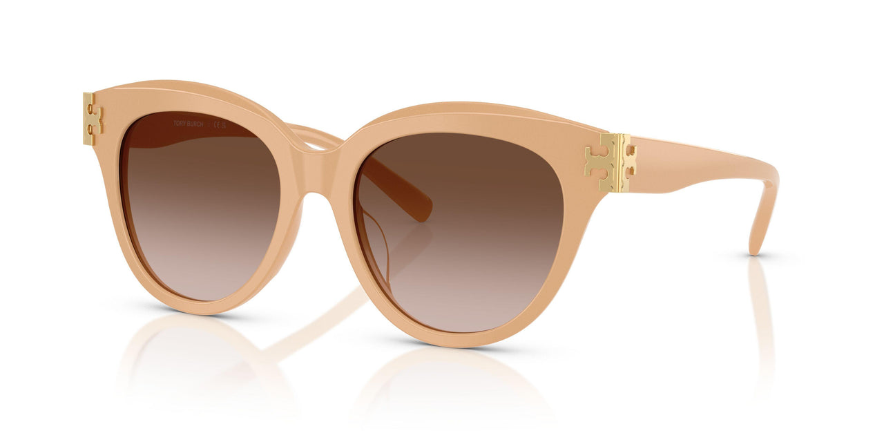 202013 - Pink - Brown Gradient