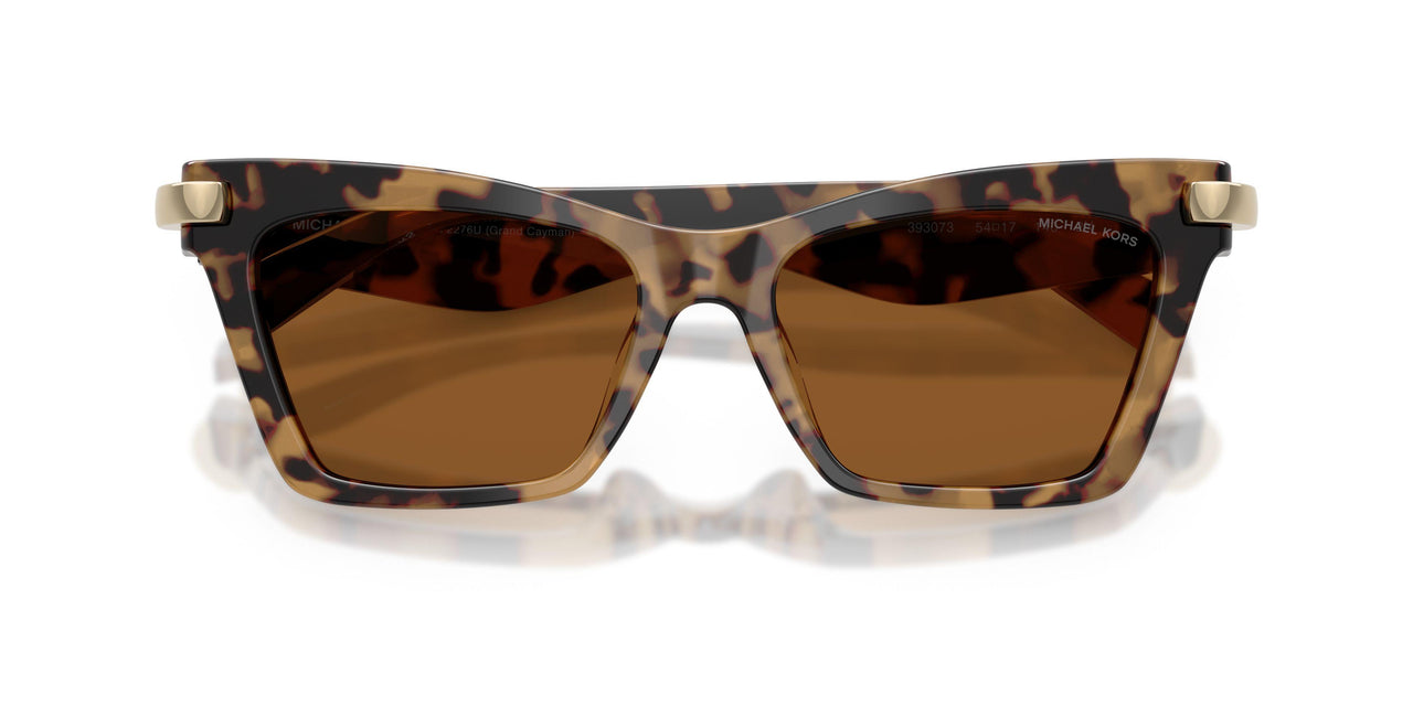 393073 - Tortoise - Amber