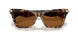 393073 - Tortoise - Amber