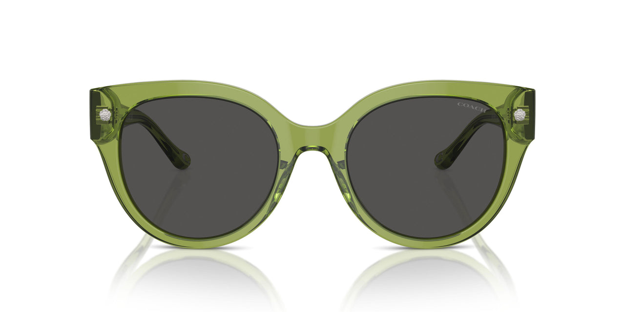 581087 - Green - Grey Solid