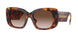 331613 - Tortoise - Brown Gradient