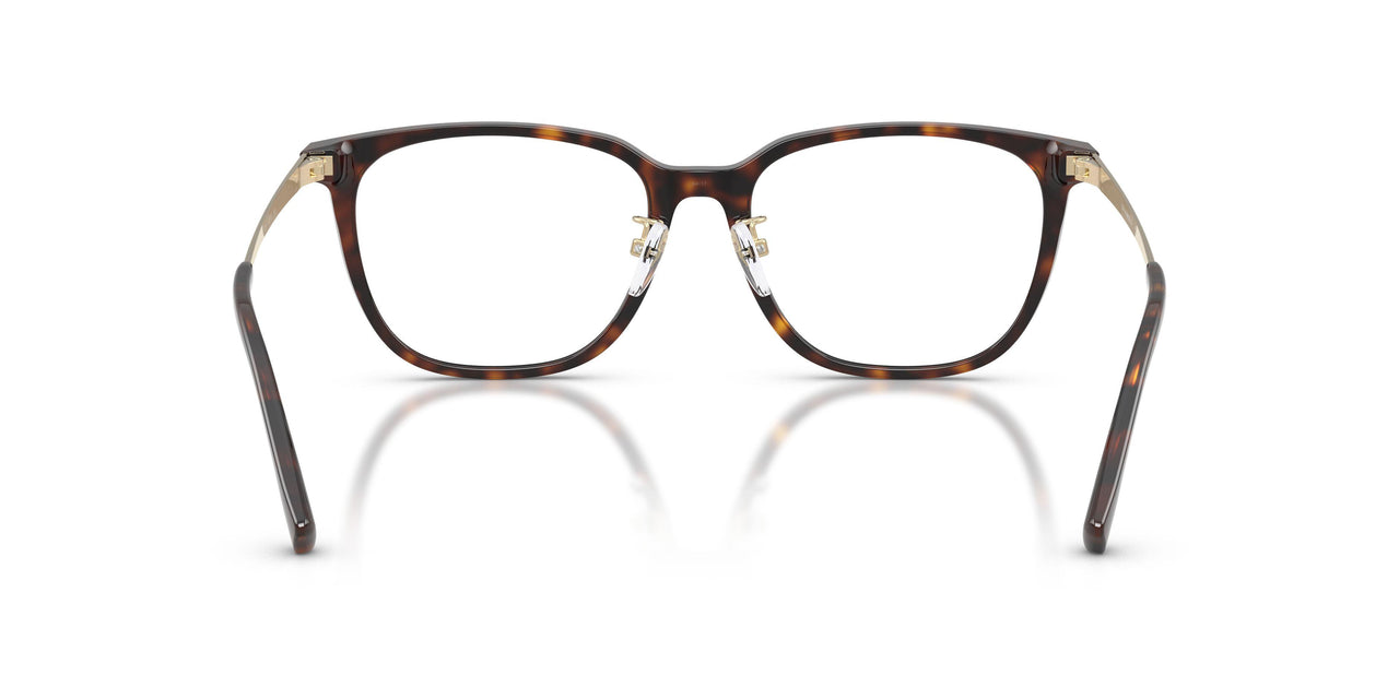 5026 - Tortoise