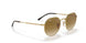 001/51 - Gold - Brown
