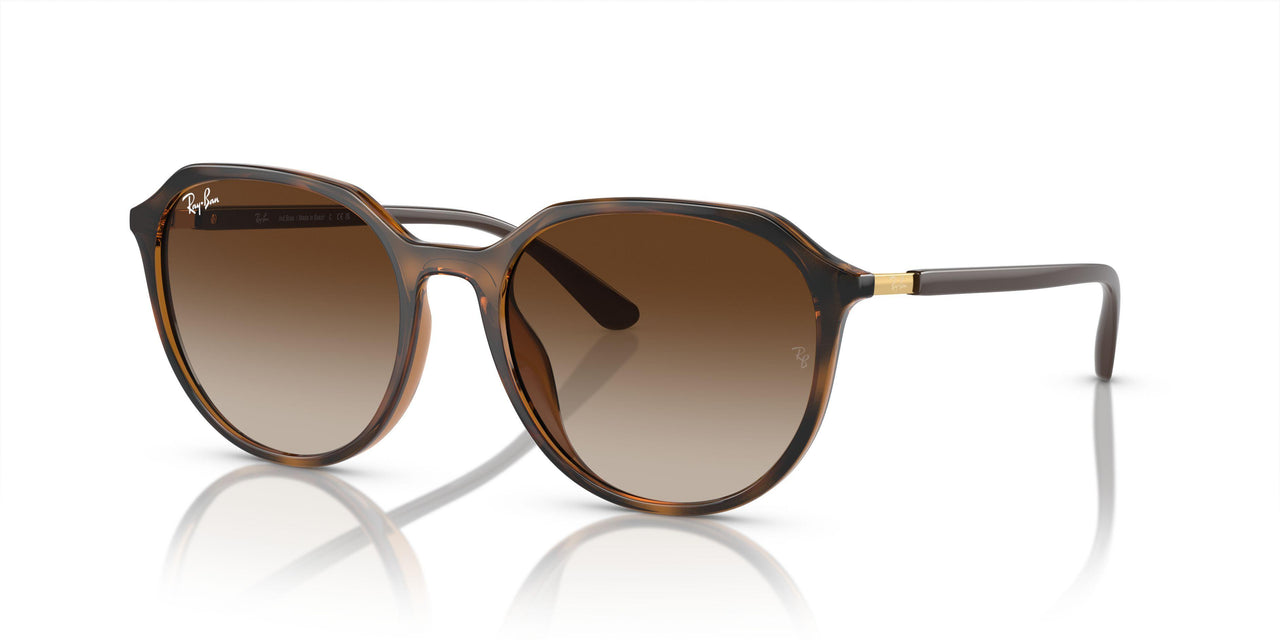 710/13 - Brown - Brown