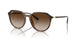 Ray-Ban 4415L Sunglasses