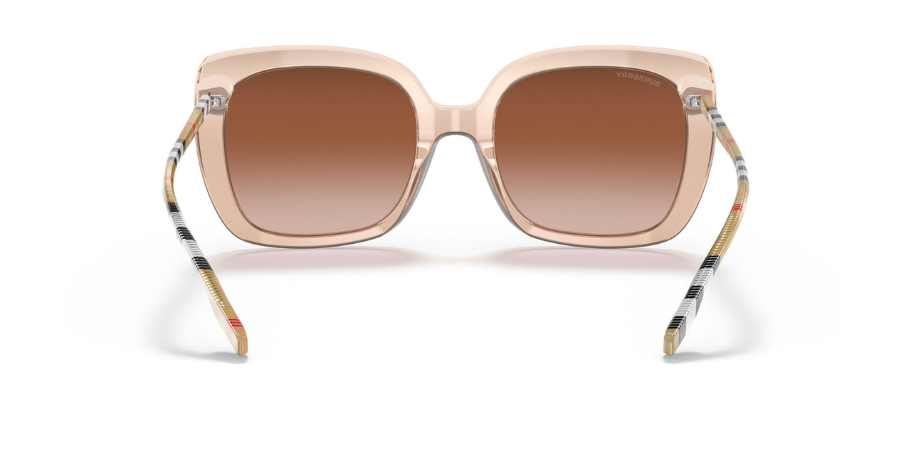 400613 - Pink - Gradient Brown