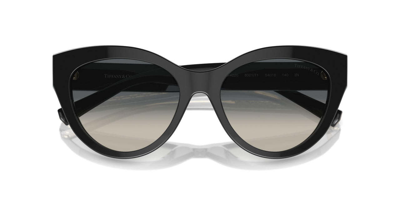 800171 - Black - Grey Gradient