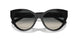800171 - Black - Grey Gradient