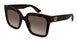 002 - Havana - Brown