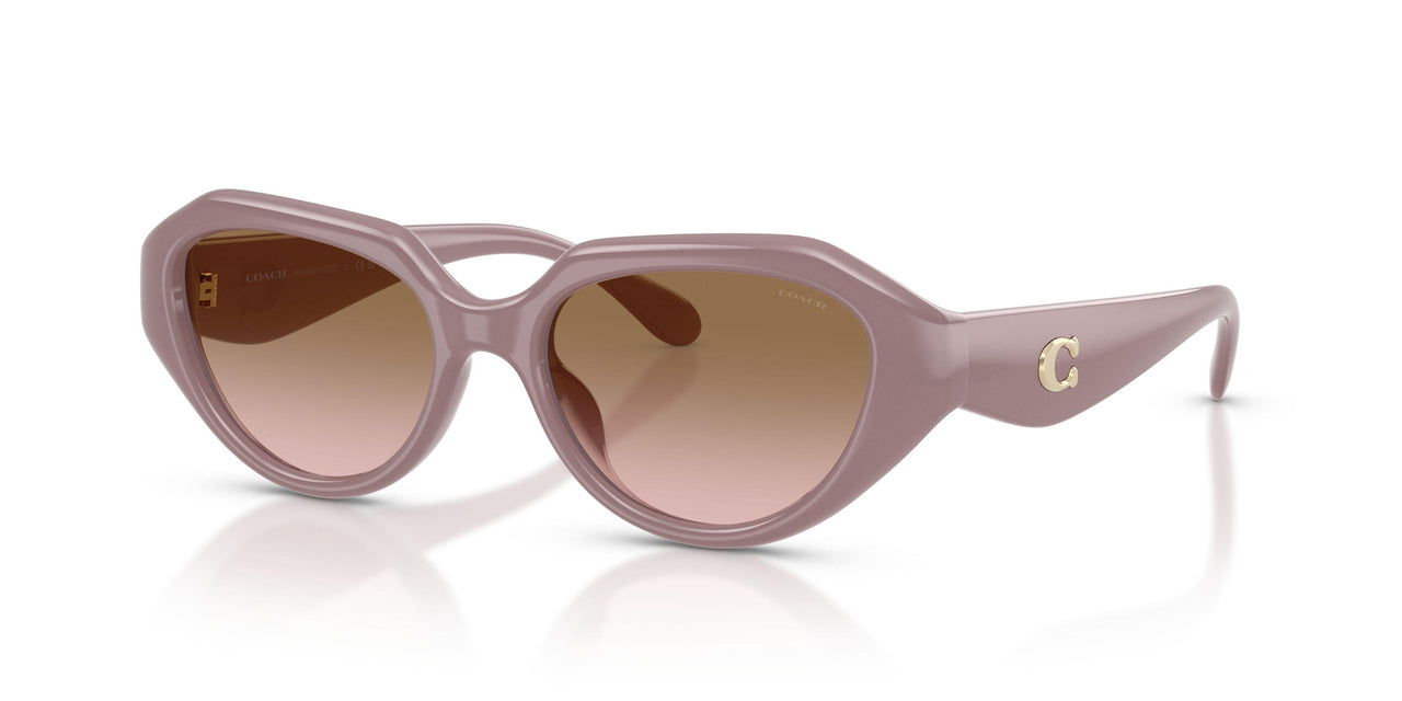 549511 - Brown - Brown Peach Gradient