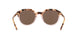 175473 - Multi - Brown Solid