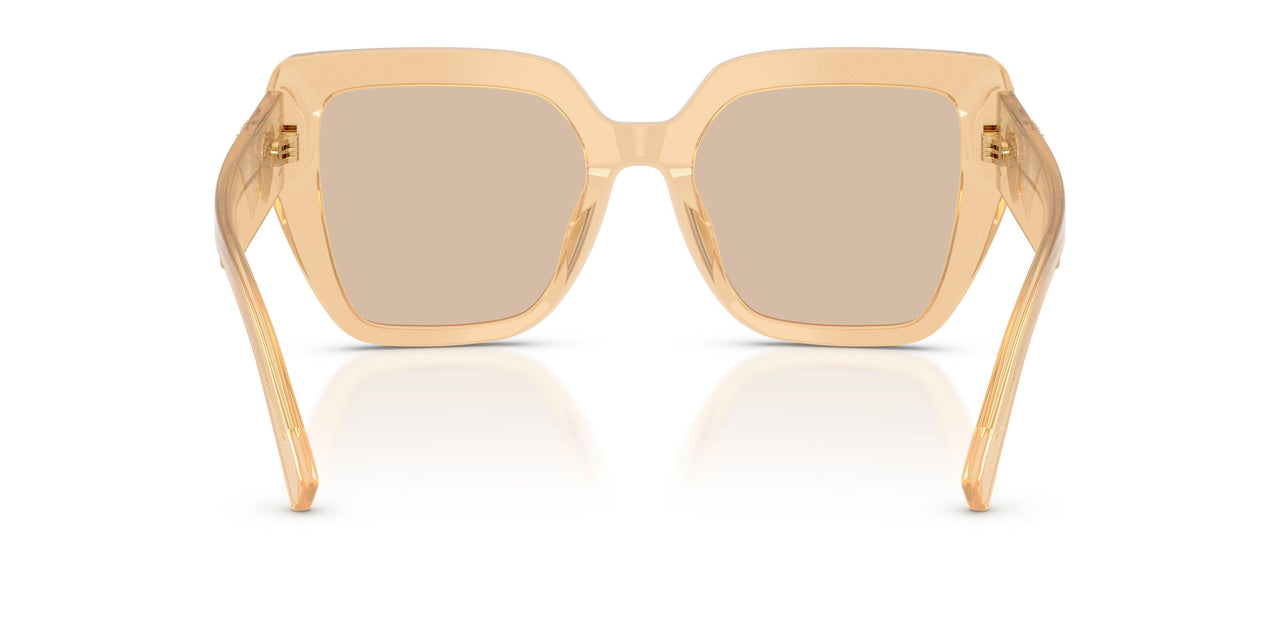 308993 - Brown - Light Brown