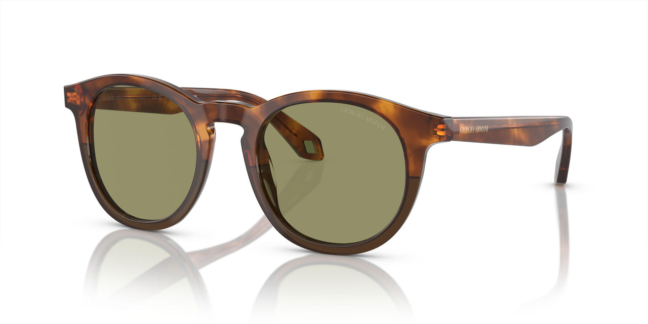 598814 - Brown - Green