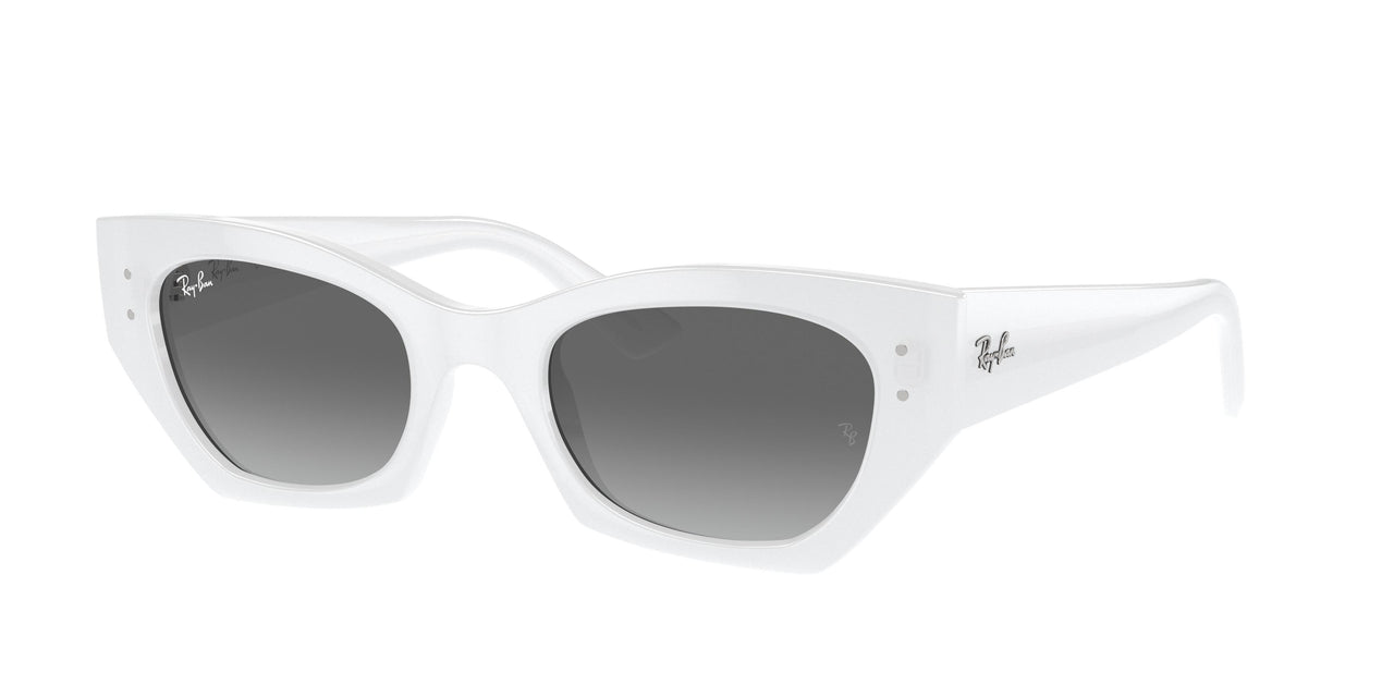 Ray-Ban Zena 4430 Sunglasses