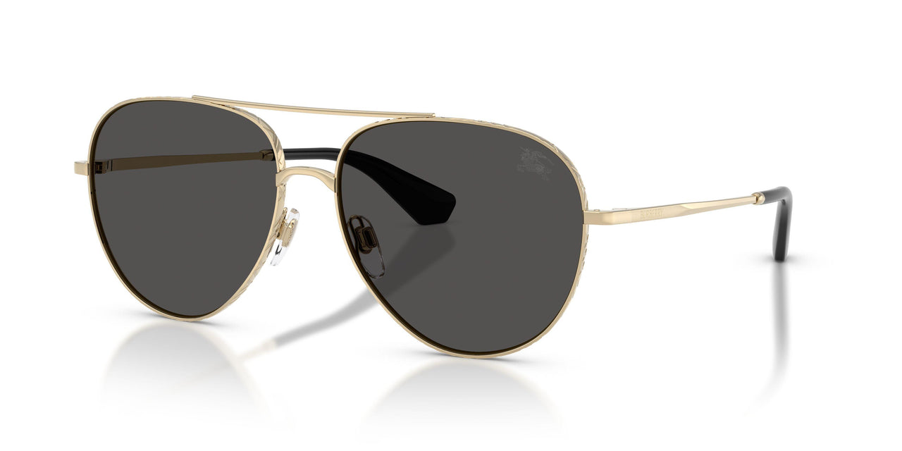 Burberry 3172 Sunglasses