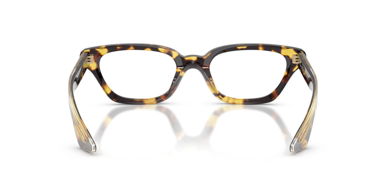1654SB - Tortoise - Clear Blue-violet Light Filter