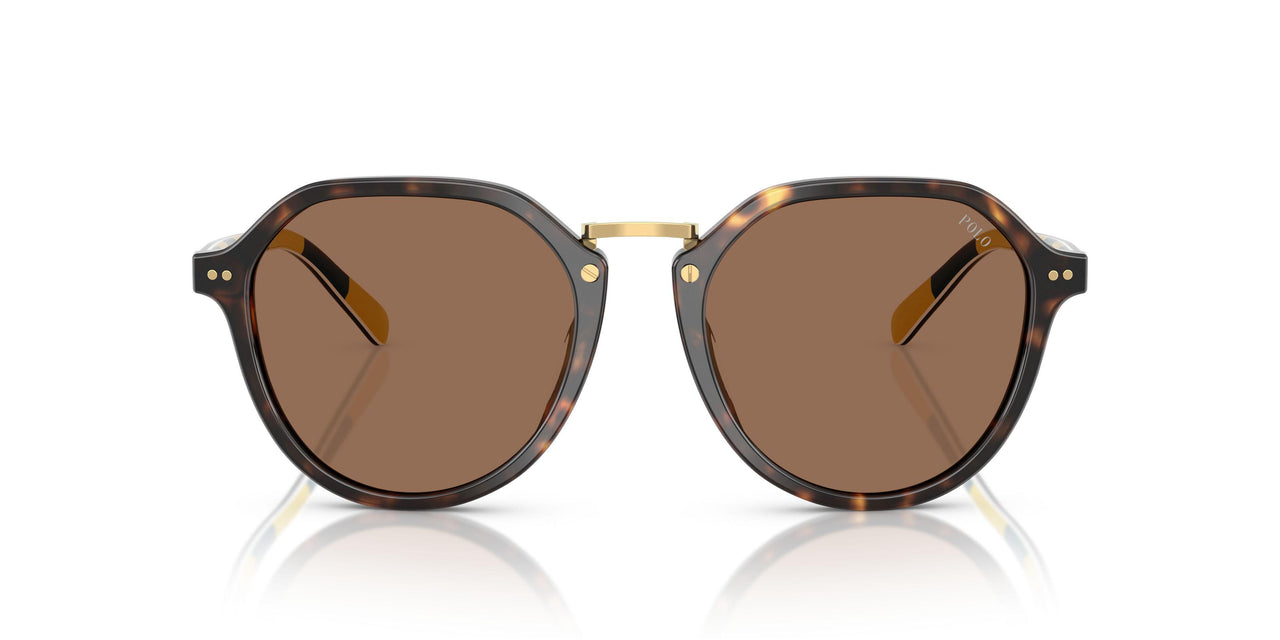 500373 - Tortoise - Dark Brown